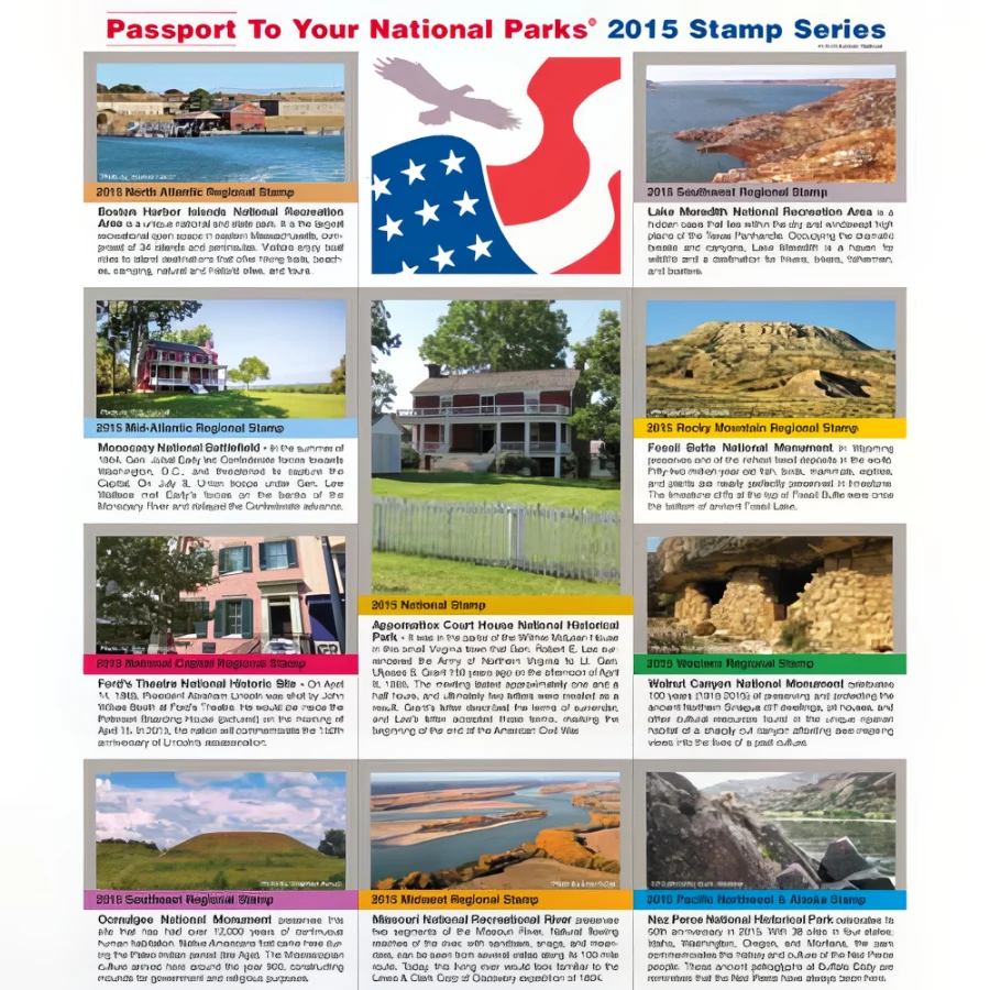 2015 Passport Stamp Set