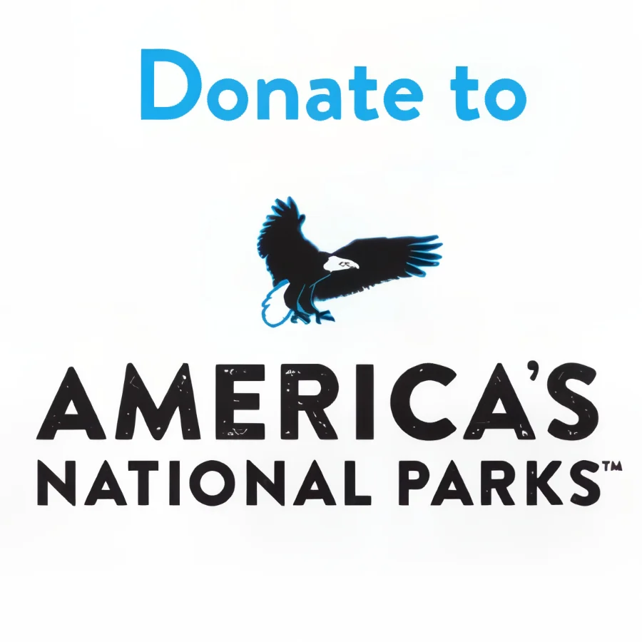 Donate $250 for America's 250th - Image 4