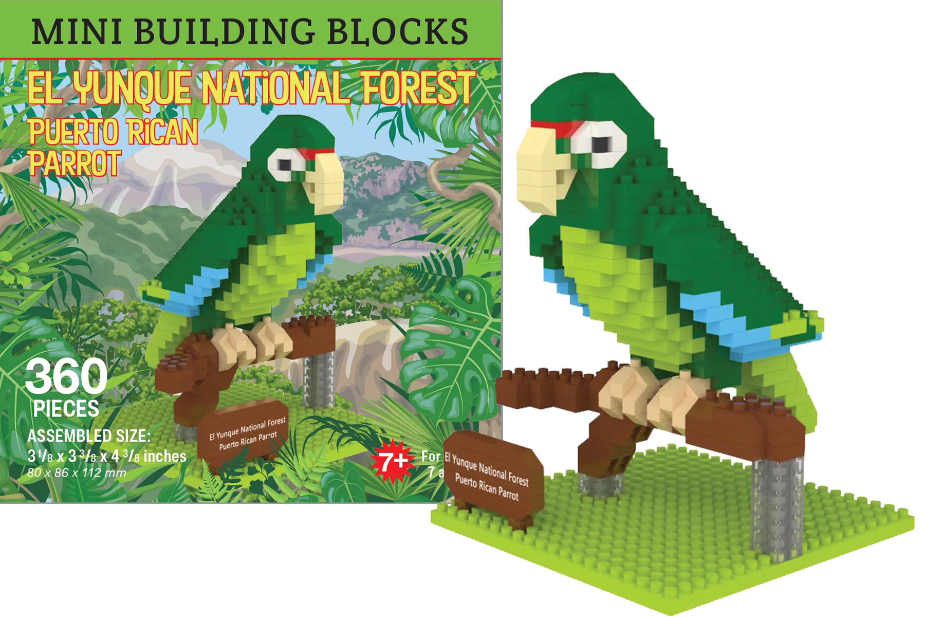 El Yunque National Forest Mini Blocks