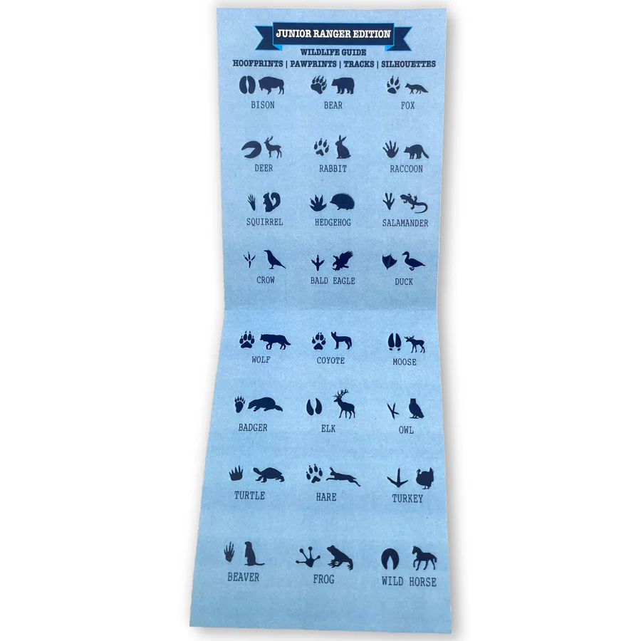 Junior Ranger Bracelet – Compass - Image 4