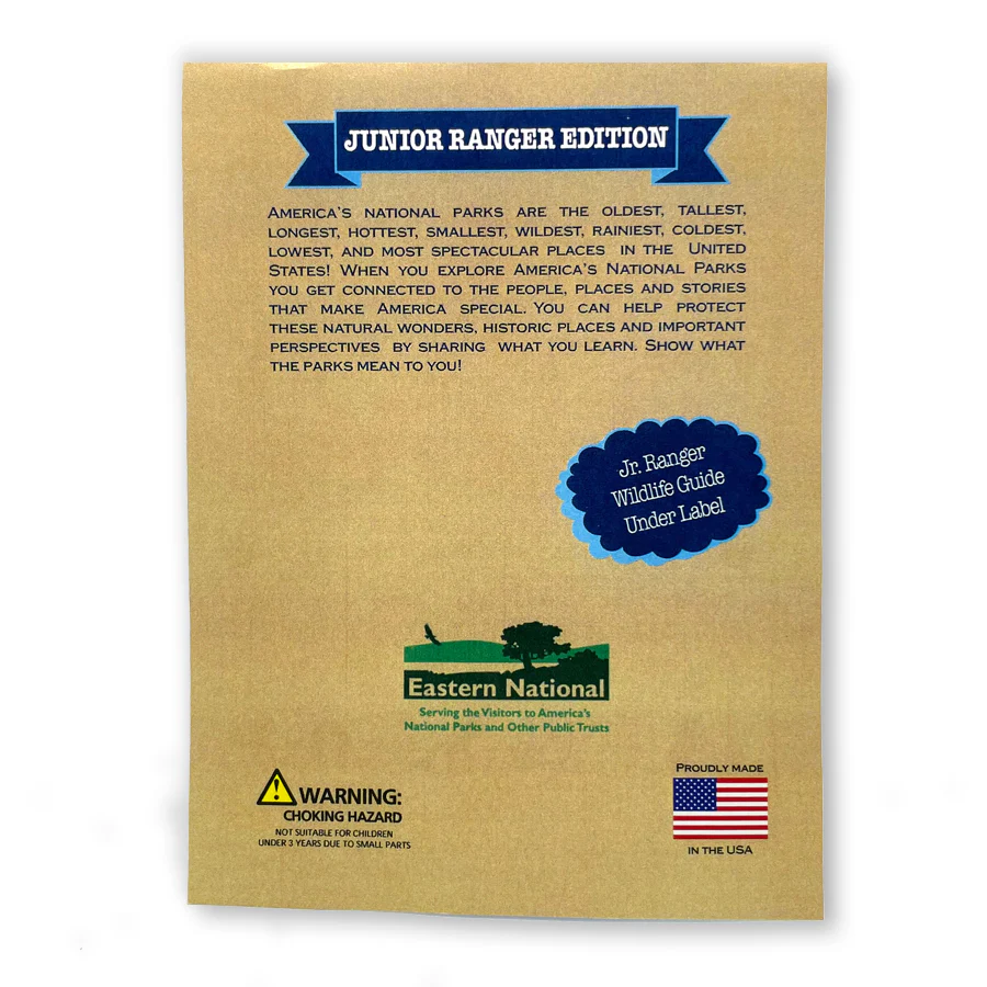 Junior Ranger Bracelet – Ranger Hat - Image 3