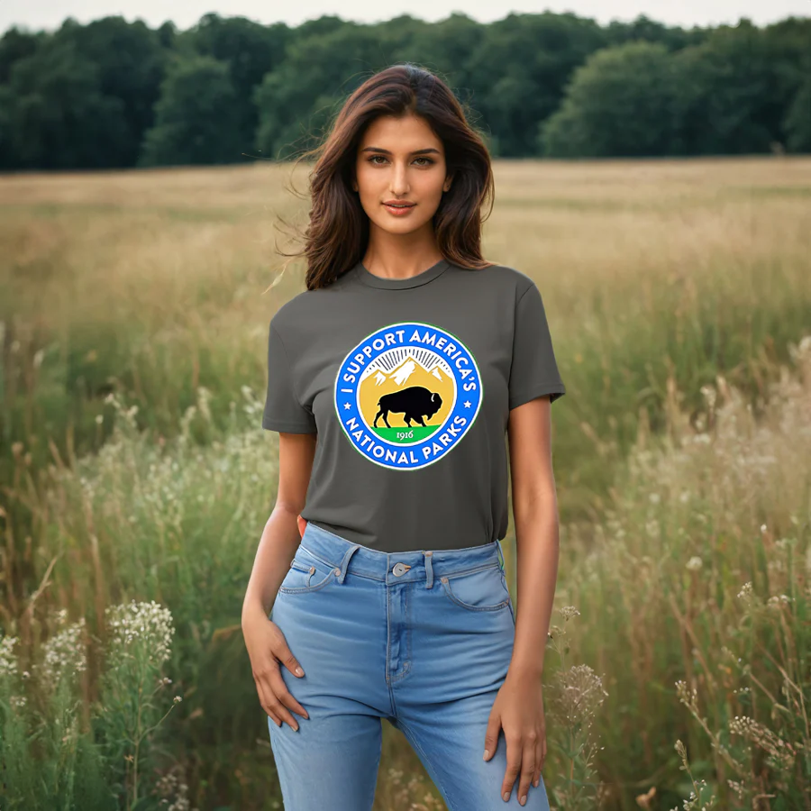 Park Supporter Bison T-Shirt - Asphalt - Image 3